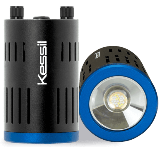 Kessil A160WE is suitable for a wide range of aquariums, including both freshwater and saltwater setups.