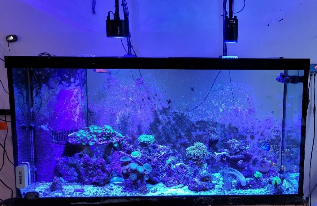 Selecting an appropriate location for your aquarium is crucial. Ensure the chosen spot is stable, level, and away from direct sunlight to prevent algae growth. Placing a waterproof mat or foam beneath the tank not only provides additional support but also helps distribute the weight evenly, reducing stress on the tank.